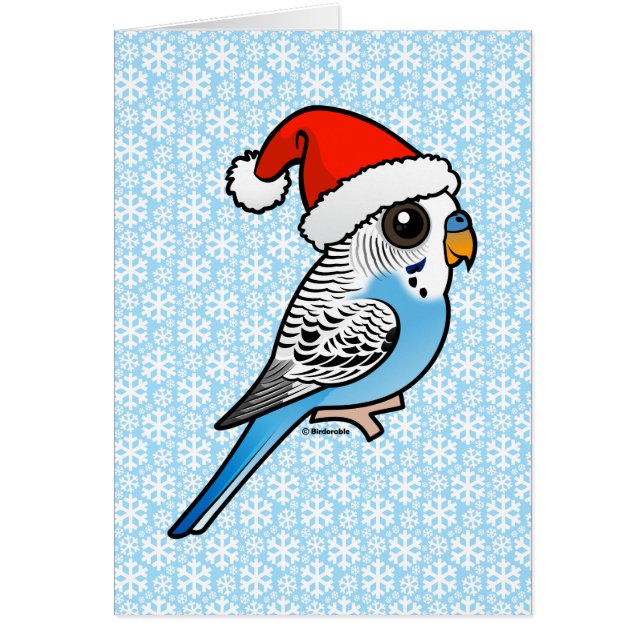 Santa Budgie Blue (Vorne)