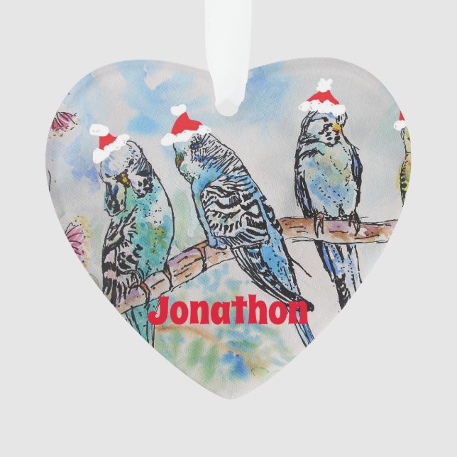 Santa Budgie Parrot Budgies Boys Name Ornament (Vorderseite)