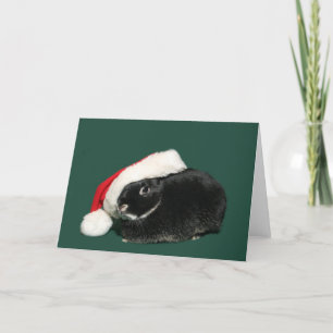 Santa Bunny Feiertagskarte