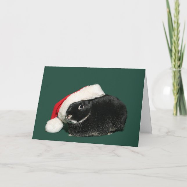 Santa Bunny Feiertagskarte (Vorderseite)