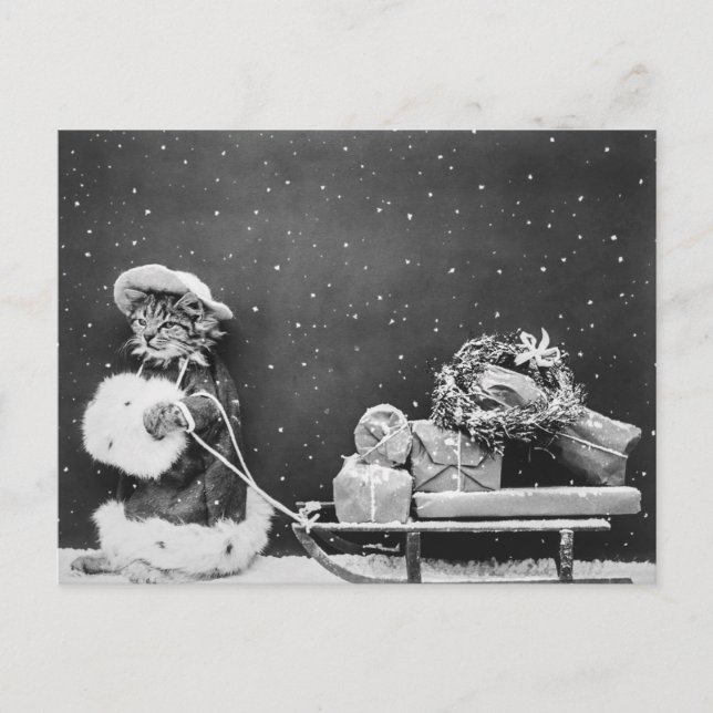 Santa Cat, eine Katze des Weihnachtsmanns Postkarte (Vorderseite)