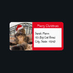 Santa Cat Merry Christmas Address Labels Adressaufkleber<br><div class="desc">Diese Weihnachtsadressen zeigen unsere sehr große Katze namens Kimber. Kimber trägt eine Weihnachtsmannmütze mit den Worten "Ho ho ho, " darauf. Kimber hat einen peinlichen Gesichtsausdruck und ein Lächeln auf den Lippen. Seine Beine sind breit, seine großen Füße stehen auf beiden Seiten und sein langer, flauschiger Schwanz ist vor ihm...</div>