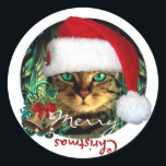Santa Cat Merry Christmas Sticker<br><div class="desc"></div>