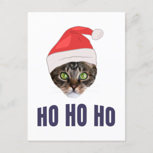 Santa Cat mit Weihnachtsmannmütze, Ho Ho Ho, Einla Postkarte