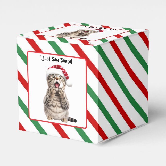 Santa Cat Niedlich Funny Christmas Cat Favor Box Geschenkschachtel (Vorderseite)