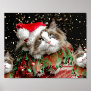 Santa Cat Poster