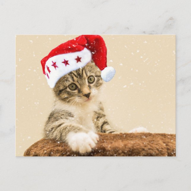 Santa Cat Postkarte (Vorderseite)