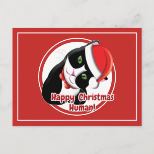Santa Cat Postkarte