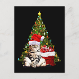 Santa Cat Postkarte