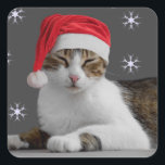 Santa Cat Stickers<br><div class="desc">Treffen Sie Santa Stella! Ein super niedlicher Weihnachtsaufkleber für Cat Lovers. Fügen Sie sie zu Umschlägen,  Geschenkpackungen und Paketen,  um die festliche Kultur zu verbreiten!</div>