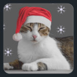 Santa Cat Stickers<br><div class="desc">Treffen Sie Santa Stella! Ein super niedlicher Weihnachtsaufkleber für Cat Lovers. Fügen Sie sie zu Umschlägen,  Geschenkpackungen und Paketen,  um die festliche Kultur zu verbreiten!</div>
