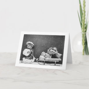 Santa Cat Still Image (1914) Weihnachten