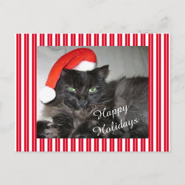 Santa Cat Strip Weihnachtspostkarte Postkarte (Vorderseite)