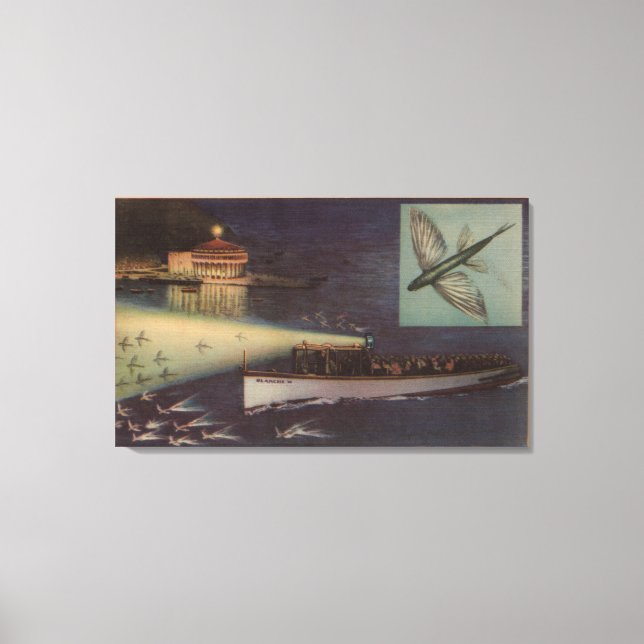 Santa Catalina Island, CA Casino, Fliegender Fisch Leinwanddruck (Vorderseite)