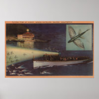Santa Catalina Island, CA Casino, Fliegender Fisch
