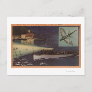 Santa Catalina Island, CA Casino, Fliegender Fisch Postkarte