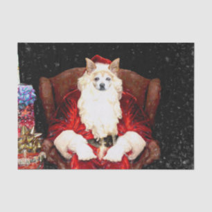 Santa Chihuahua Hund Rot Lustig Weihnachten Urlaub Seidenpapier