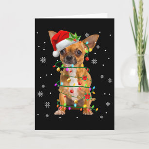 Santa Chihuahua Weihnachtslichter Xmas Hunde Liebh Karte