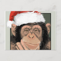 Santa Chimp