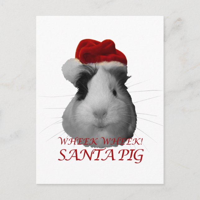 Santa Claus Pig Guinea Weihnachtsfeiertage Feiertagspostkarte (Vorderseite)