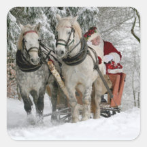 Santa Claus rides in a Horse sleigh