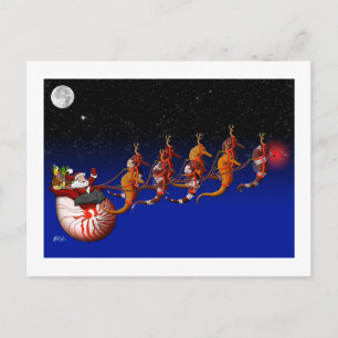 Santa Claus und Seepferd Sleigh Postcard Feiertagspostkarte