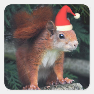 Santa Claws Aufkleber