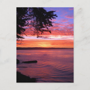 Santa Cruz, CA. Sunrise Postkarte