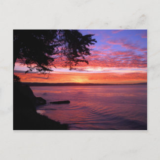 Santa Cruz, CA. Sunrise Postkarte