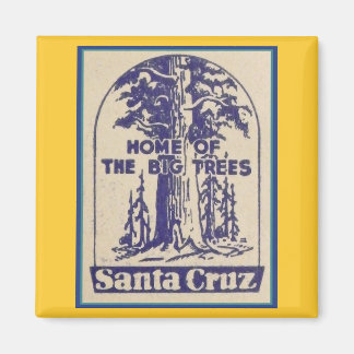 Santa Cruz Califonia - Zuhause der großen Bäume Magnet