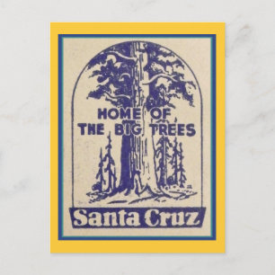 Santa Cruz California - Zuhause der großen Bäume Postkarte