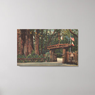 Santa Cruz County, CA-Eingang zum großen Baum-Par Leinwanddruck