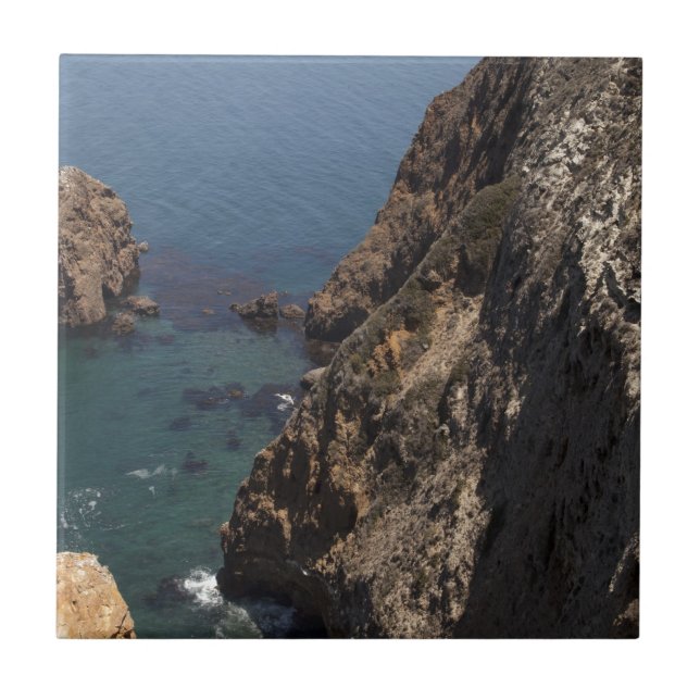 Santa Cruz Island Series 4 Fliese (Vorderseite)