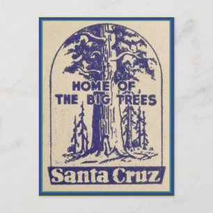 Santa Cruz Kalifornien - Heimat der großen Bäume Postkarte