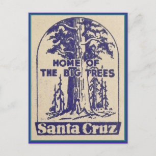 Santa Cruz Kalifornien - Heimat der großen Bäume Postkarte