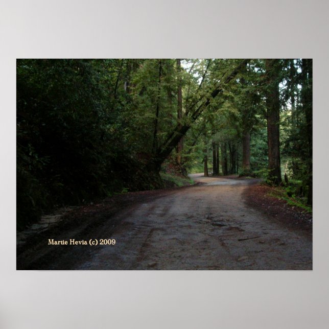 Santa Cruz Mountain Road Print - Wählen Sie Ihren  Poster (Vorne)