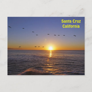 Santa Cruz Pelicans bei Sonnenaufgang Postkarte