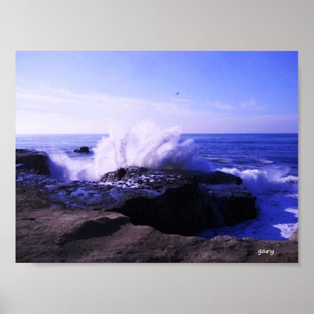 Santa Cruz Seashore Poster (Vorne)