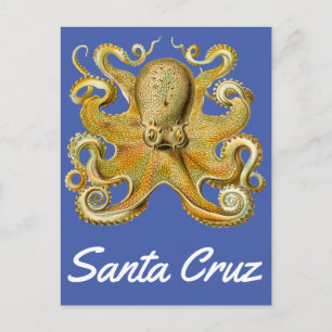 Santa Cruz Vintage-Oktopus Postkarte