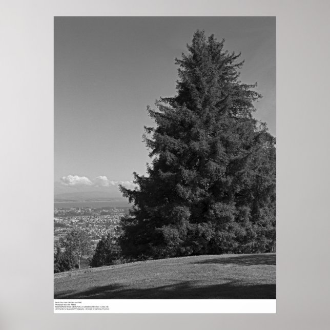Santa Cruz vom Campus, April 1967 Poster (Vorne)