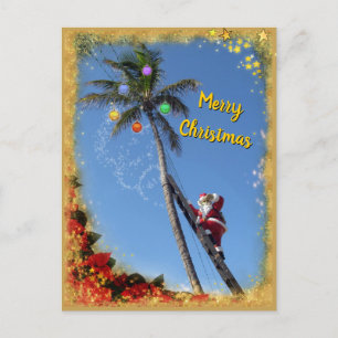Santa decorating Palm Tree Feiertagspostkarte