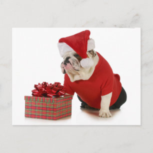 Santa Dog - English Bulldog Dressed Like Santa Feiertagspostkarte