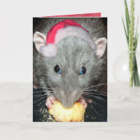 Santa Dumbo-Ratte-Karte