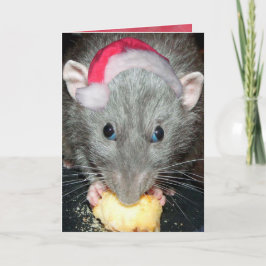 Santa Dumbo-Ratte-Karte Feiertagskarte