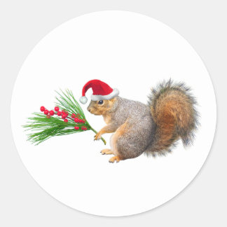 Santa-Eichhörnchen Immergrün-Aufkleber Runder Aufkleber