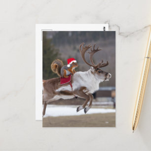 Santa Eichhörnchen Rentieren Postkarte