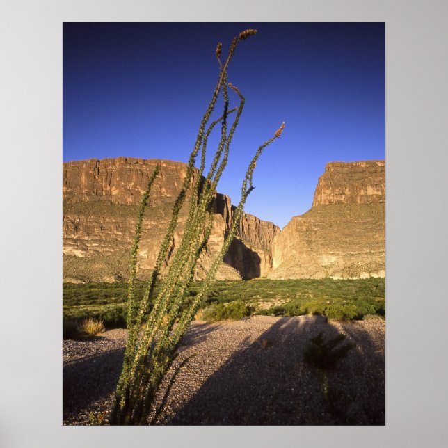 Santa Elena Canyon Poster (Vorne)