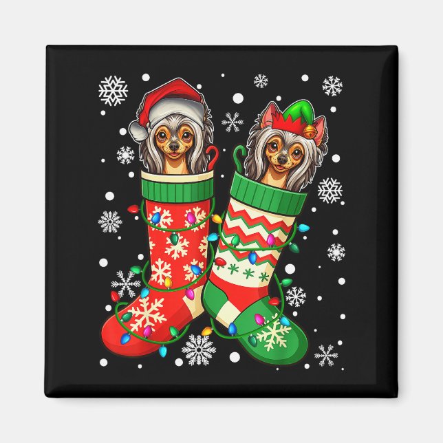 Santa Elf Chinese Crested Dog In Christmas Socks M Magnet (Vorne)