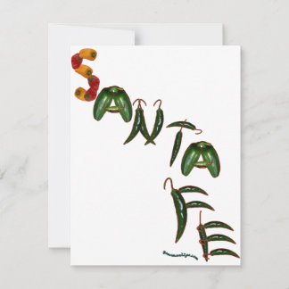 Santa Fe Chili Paprikaschoten