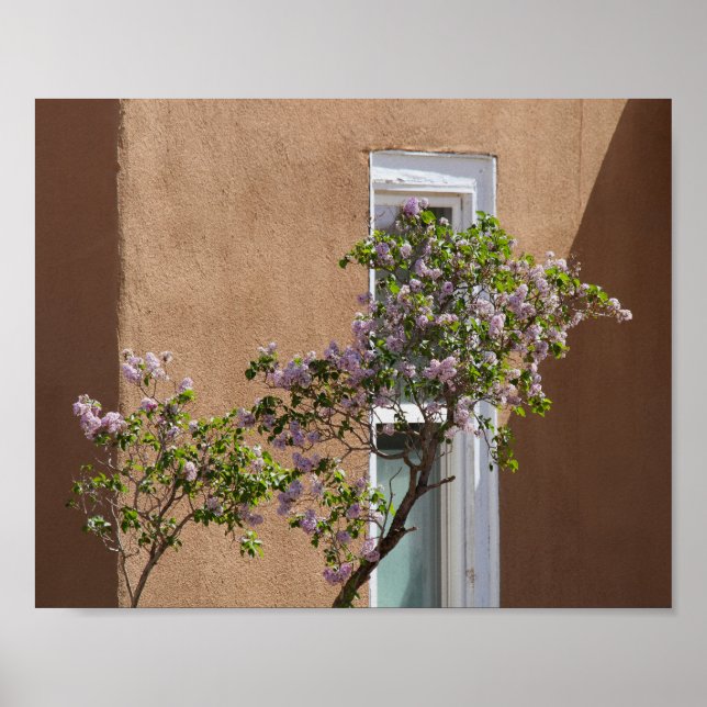 Santa Fe, New Mexico, Lilacs Poster (Vorne)